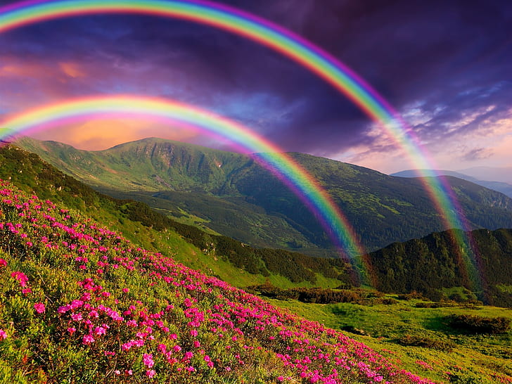 HD wallpaper: Nature landscape, mountains, flowers, rainbow ...