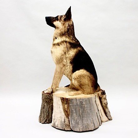Художник вырезает невероятно реалистичные скульптуры домашних животных из дерева 