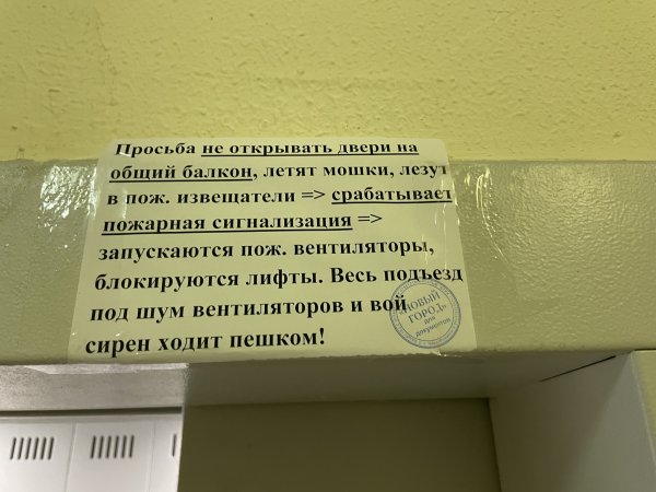 Подборка забавных объявлений с просторов нашей страны  позитив,смешные картинки,юмор