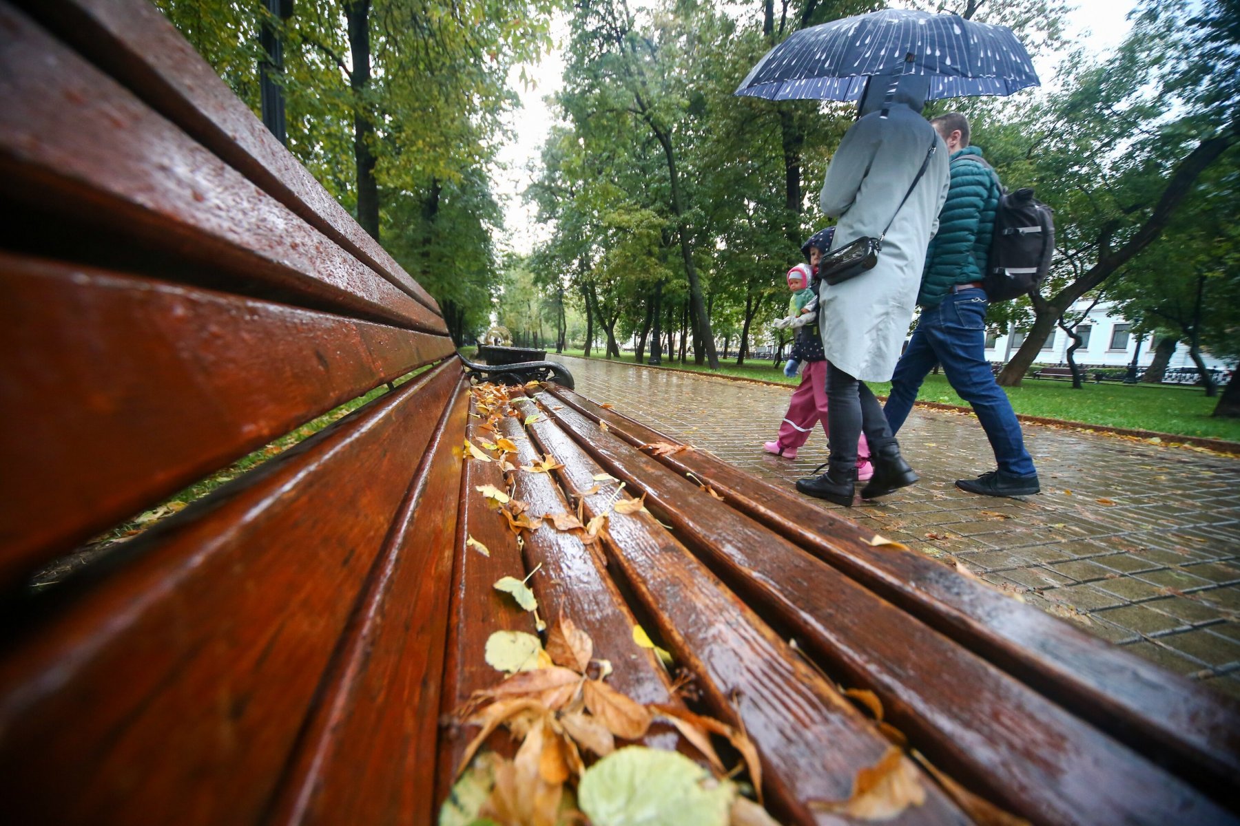 Когда дождь в москве включи умную. Сентябрь. День прогулок под дождем. Дождливая погода. Осень в Москве.