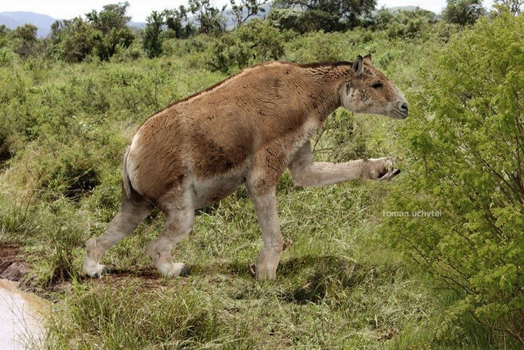 Доисторические животные