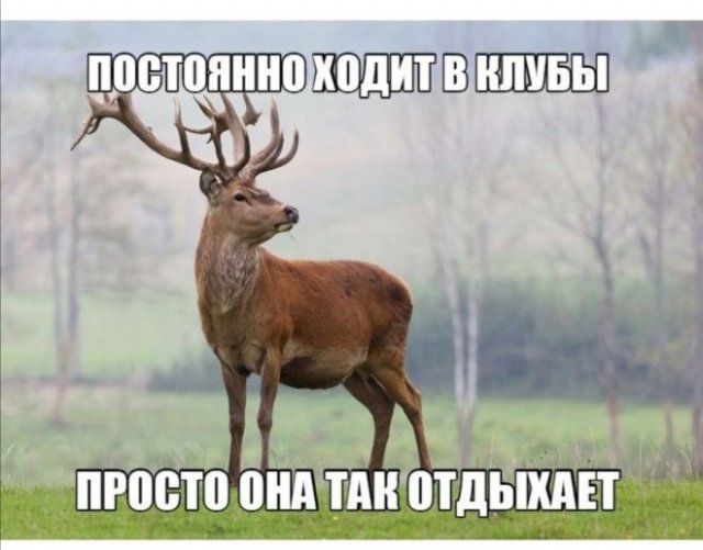 Приколы про отношения и современных девушек Приколы про отношения и современных девушек позитив,смешные картинки,юмор