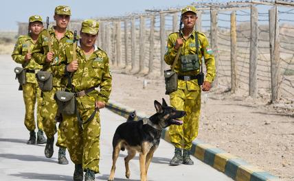 Европу разделили заборы. А что делать России?