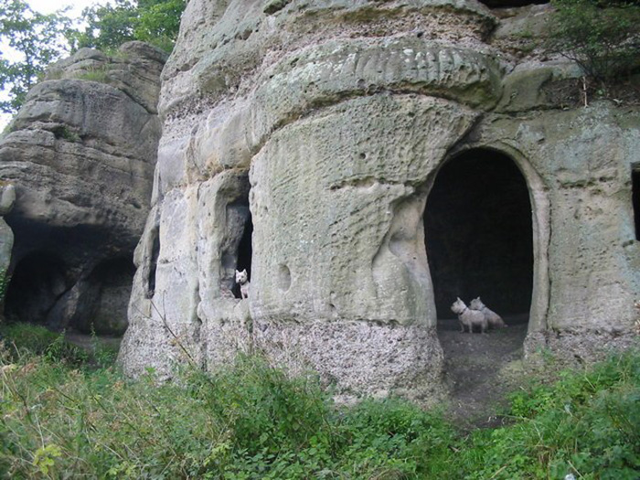 Раскрыта тайна рукотворных пещер 1200-летней давности, где прятался король-изгнанник пещеры, пещер, чтобы, короля, очень, могли, после, исследования, Якорной, Пещеры,  Внешний, смерти, Хардульфа, происхождения, Археологические, последние, скале, сооружений, историки, также