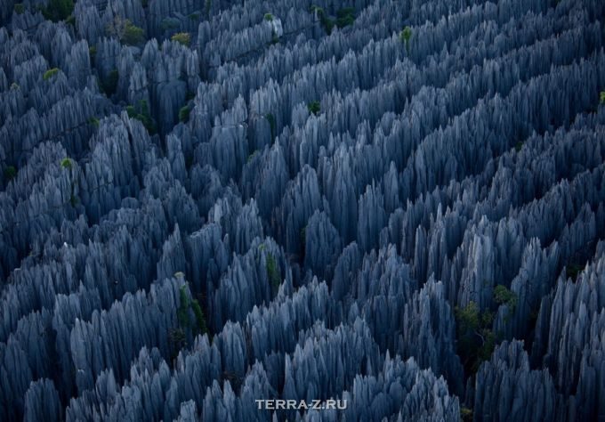 Добро пожаловать в каменные леса Мадагаскара! «цинги», плато, больших, через, более, малые, продолжили, ветры, дожди, несколько, уровня, миллионов, сотворилось, уникальное, явление, которое, сегодня, океана, Карстовые, имеют