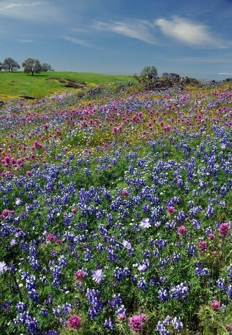 Наш удивительный мир! природа