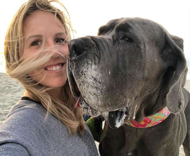 Внутри красивого особняка страдали 84 собаки! В этом доме не было даже воды 