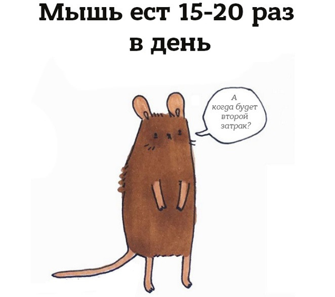 «»