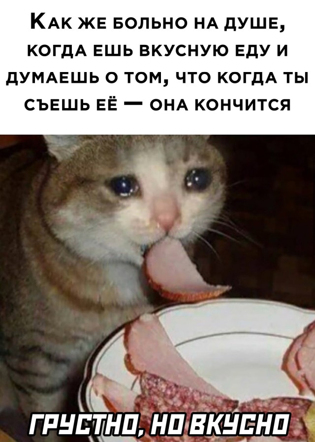 Подборка картинок. Вечерний выпуск Подборка картинок. Вечерний выпуск приколы,смешные картинки,юмор