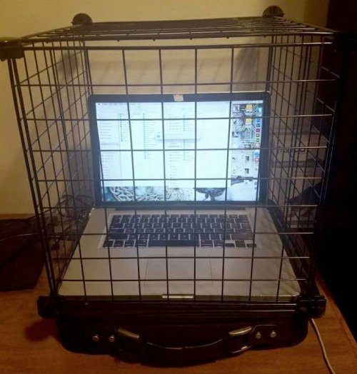 Ура, я это починил! 