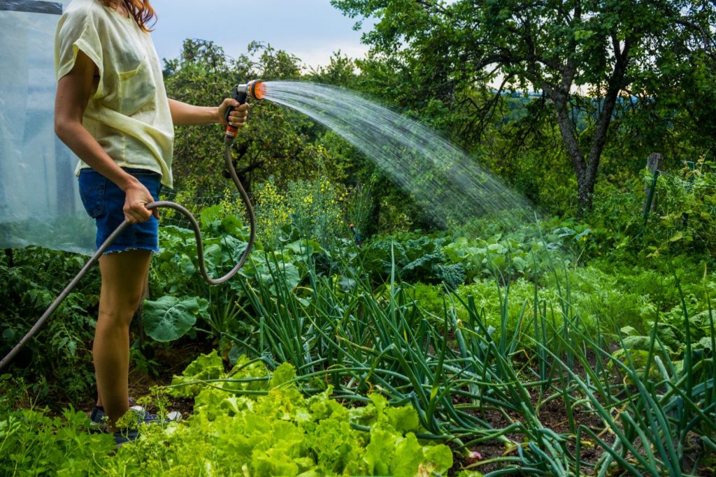 как дачнику сэкономить на воде втрое