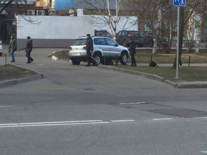 Подборка картинок. Дневной выпуск (73 фото)