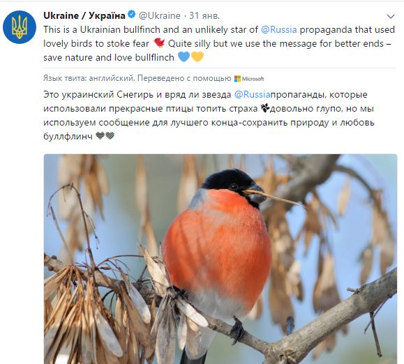 «Снегирь – украинская птица, «москальской» ей быть не годится»: пациенты психушки-UA продолжают удивлять