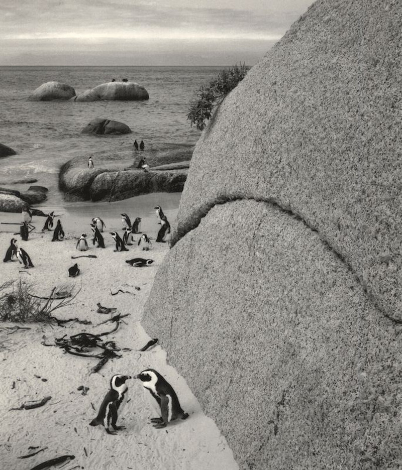 Мир, пребывающий в гармонии, на фотографиях Пентти Саммаллахти 2 2 3