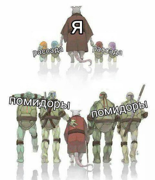 Фотоподборка среды 