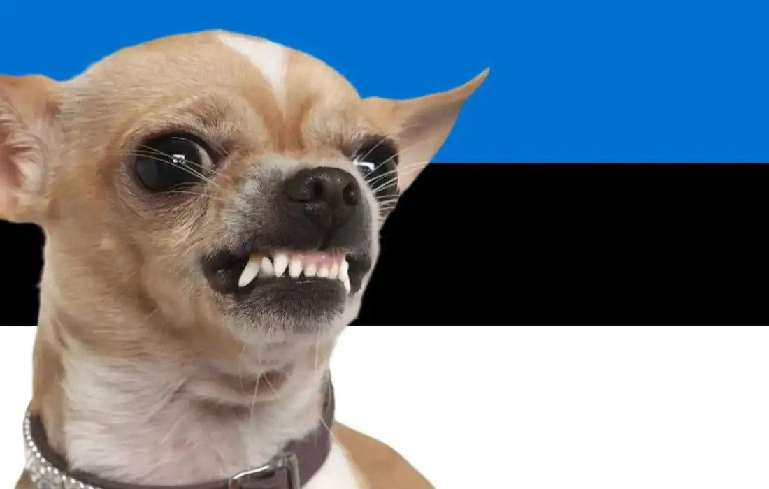 «Щенок чихуахуа не может лаять на взрослого льва»: Эстония публично опозорилась