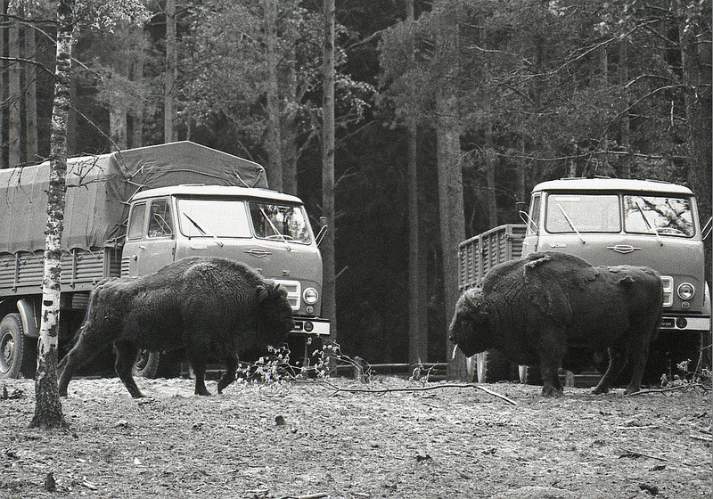 16 советских послевоенных фотографов: от аполитичной искренности к эротике и сюрреализму 16 советских послевоенных фотографов: от аполитичной искренности к эротике и сюрреализму
