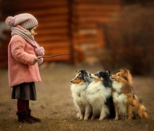 Заряд положительных эмоций 