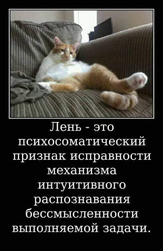 Юмор из сети: лучшая подборка 