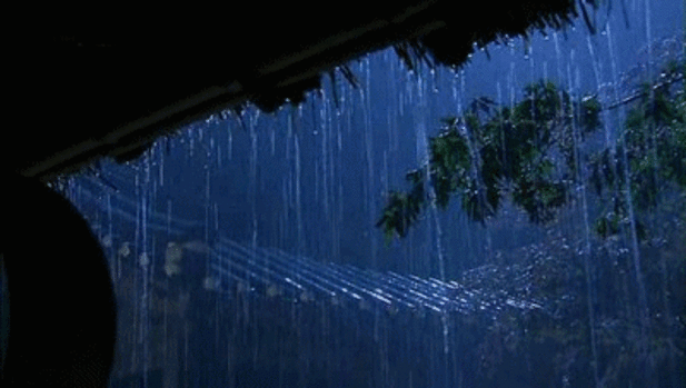 "Ура!!! Дождь!!! ": как выглядит месть дембеля Отдых