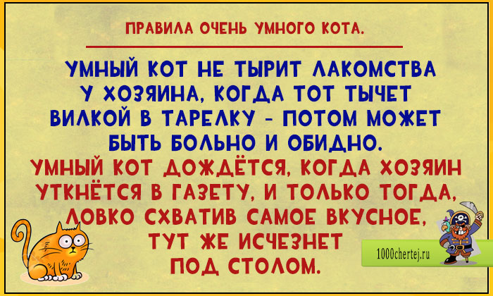 17 весёлых открыток про то, что быть умным котом целая наука! 