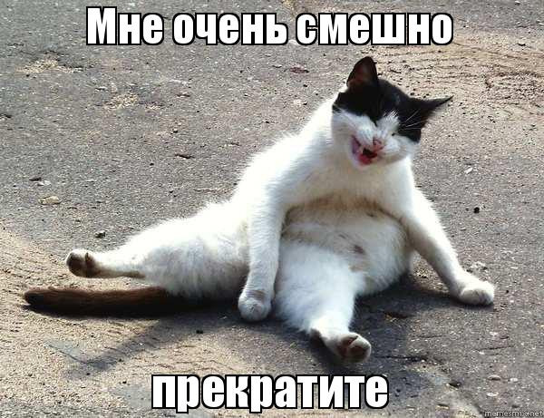 «»