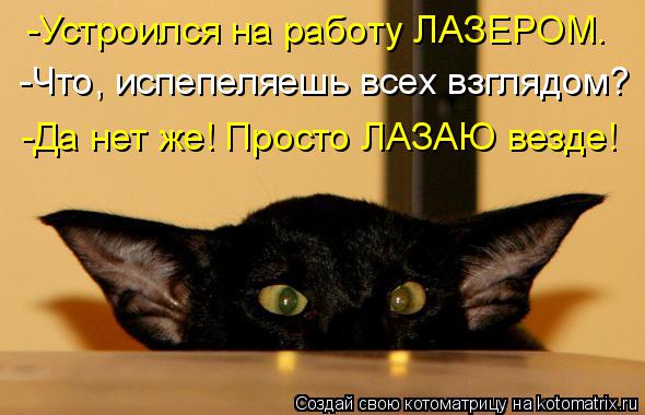 Котоматрица: -Устроился на работу ЛАЗЕРОМ. -Что, испепеляешь всех взглядом? -Да нет же! Просто ЛАЗАЮ везде!