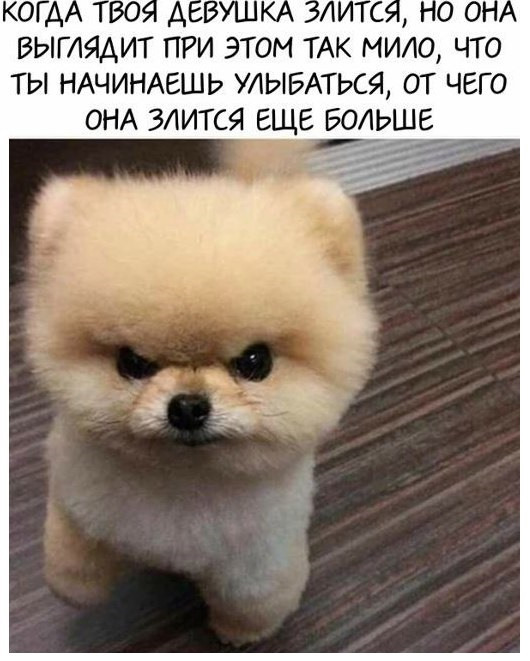 «»