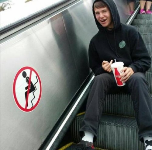 Делаю, что хочу! (20 фото)