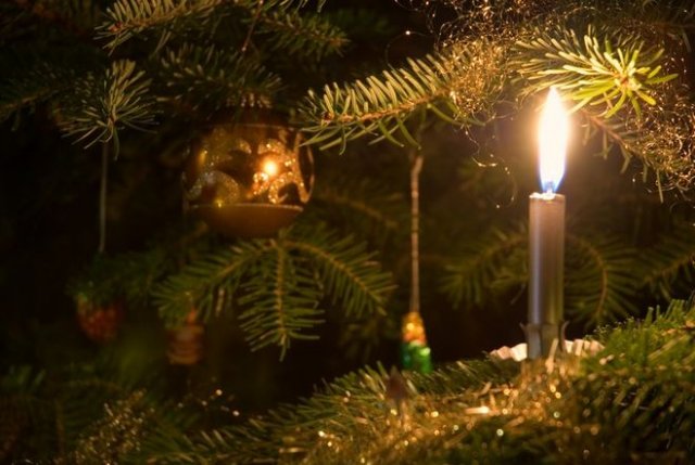 Вы этого точно не знали: 5 занимательных фактов о новогодних елках! комнаты, дерево, обычай, деревья, свечи, елочных, правда, вовсе, ветках, праздников, рождественских, красавицу, ангелов, деревце, Петра, ближнем, левом, жизни, елочными, правом