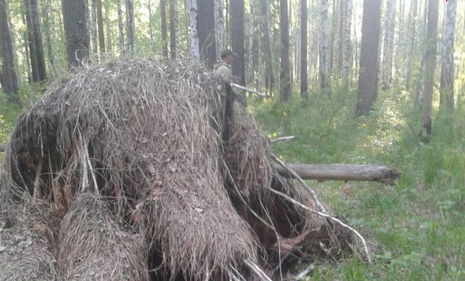 Заблудившийся на Урале малыш 5 дней выживал, как настоящий мужик время, 4летний, бросил, медведь, утонуть, близком, болоте, просто, понятно, парнишке, четырех, выжитьОднако, никто, поиски, следы, Внезапно, ребенка, обнаружились, болотом, Спасатели