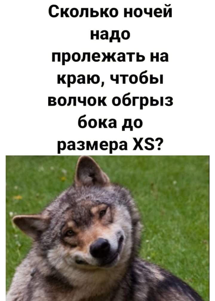 Лучшие анекдоты и шуточки дня: веселая подборочка! 