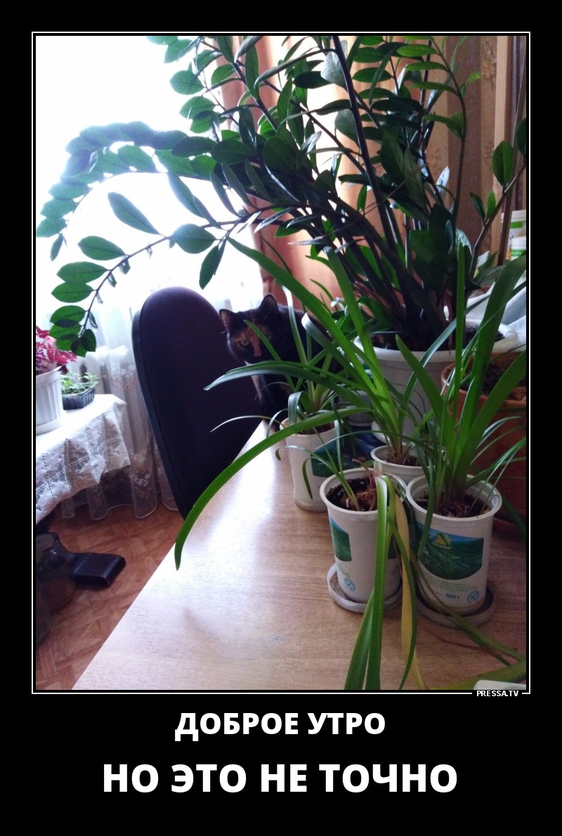 Забавные, ржачные и веселые демотиваторы из нашей жизни со смыслом Забавные, ржачные и веселые демотиваторы из нашей жизни со смыслом демотиваторы свежие,смешные демотиваторы,юмор