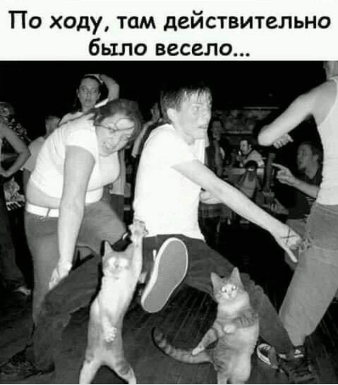 Не стоит включать телевизор и мозг одновременно. Это несовместимые вещи, как камин и кондиционер Не стоит включать телевизор и мозг одновременно. Это несовместимые вещи, как камин и кондиционер анекдоты,веселые картинки,демотиваторы,юмор