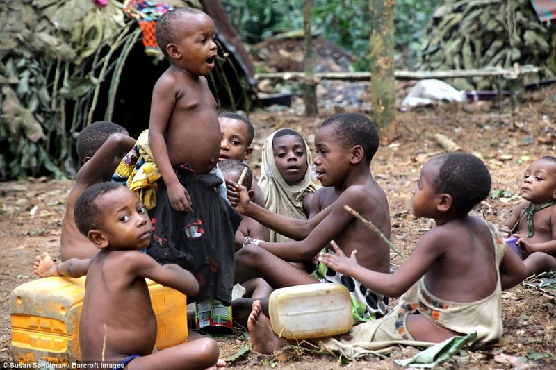 Как живут африканские пигмеи африка, пигмеи, племя, тропический лес
