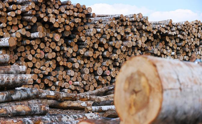 В лесной Финляндской республике заговорили о дефиците древесины. Да таком, что население уже на грани паники: всем боятся, не хватит!