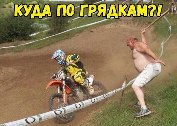 Дачный юмор 