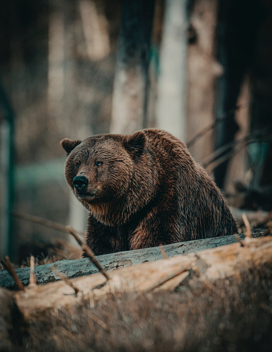 Фотограф: Janko Ferlic: https://www.pexels.com/ru-ru/photo/3634926/