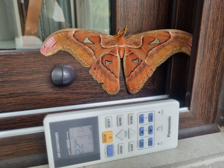 Подборка прикольных картинок  приколы,смешные картинки,юмор