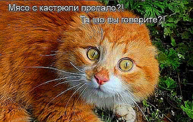 И хорошо, и приятно: ловите свежую порцию юмора И хорошо, и приятно: ловите свежую порцию юмора