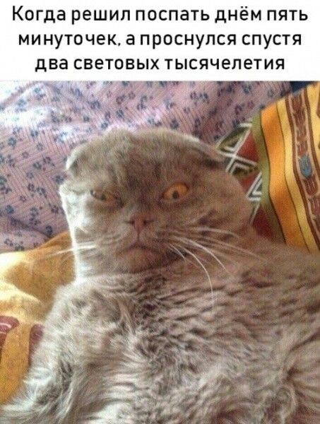 Подборка легкого юмора для заряда позитивом Подборка легкого юмора для заряда позитивом