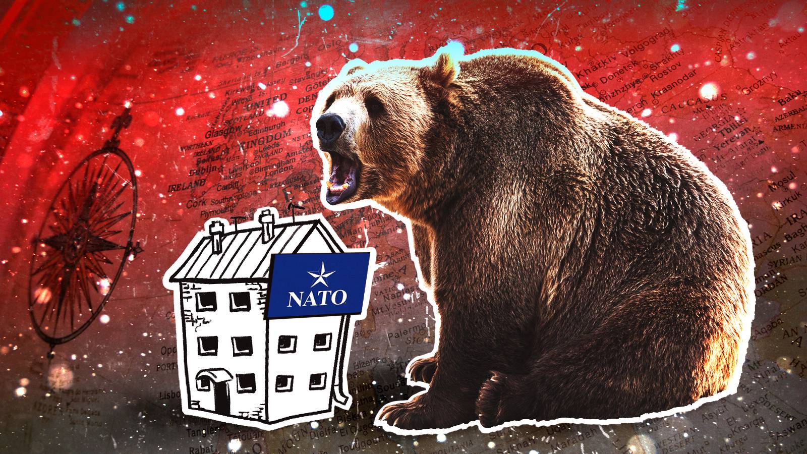 Журналист Newsweek признал спецоперацию ВС РФ сокрушительным поражением НАТО