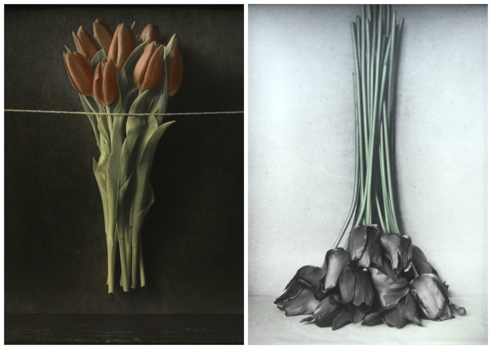 Как изящен кабачок! Удивительные натюрморты Ингара Краусса Как изящен кабачок! Удивительные натюрморты Ингара Краусса