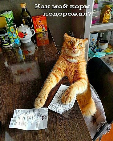 И хорошо, и приятно: ловите свежую порцию юмора И хорошо, и приятно: ловите свежую порцию юмора