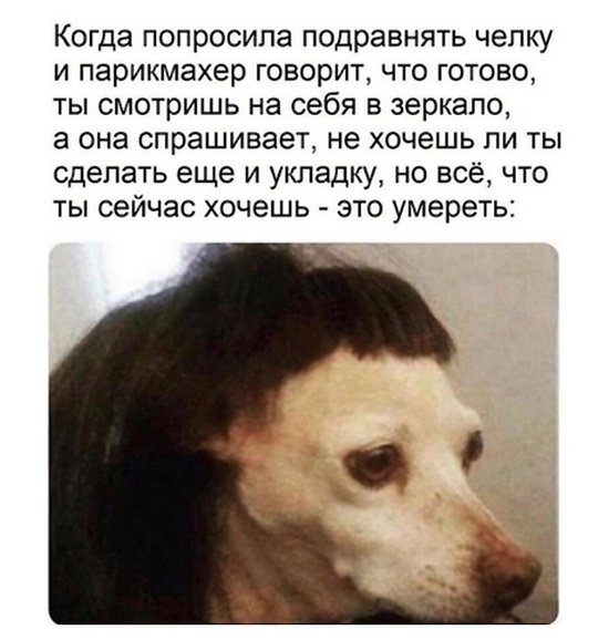 Юмор на разные темы 