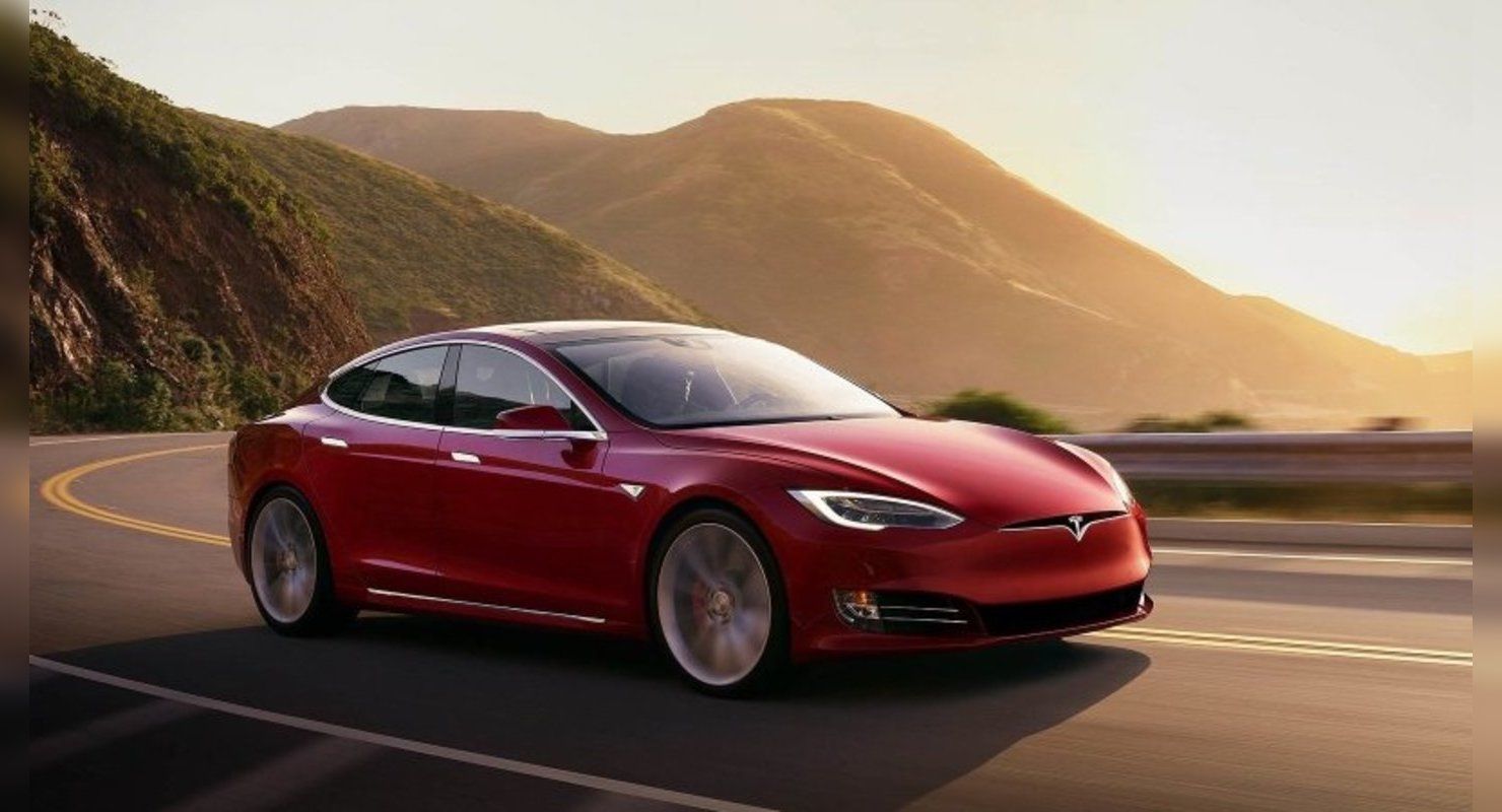 Tesla Model S прошла «лосиный тест» в реальной жизни с настоящим лосем