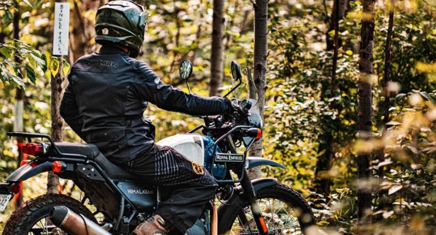 Royal Enfield будет садить дерево за каждый проданный мотоцикл в Италии