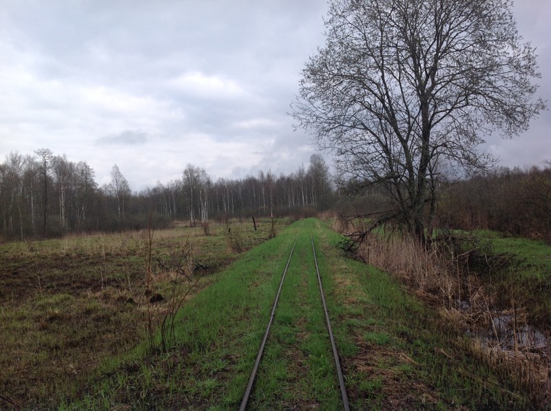 Узкоколейные железные дороги поездка,туризм