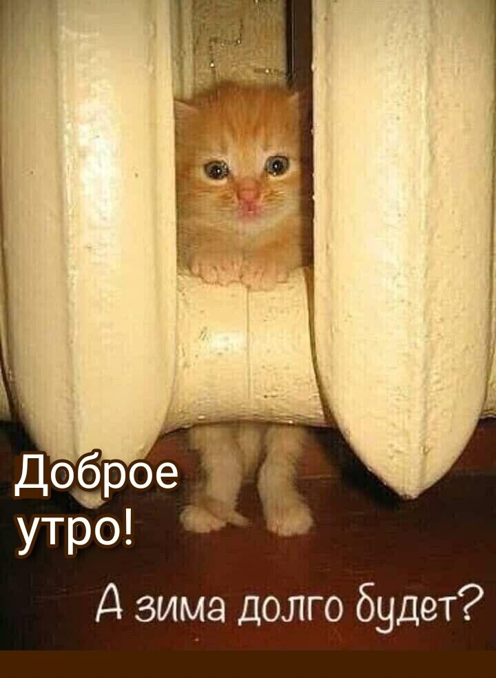 Клевые картинки с юмором Клевые картинки с юмором