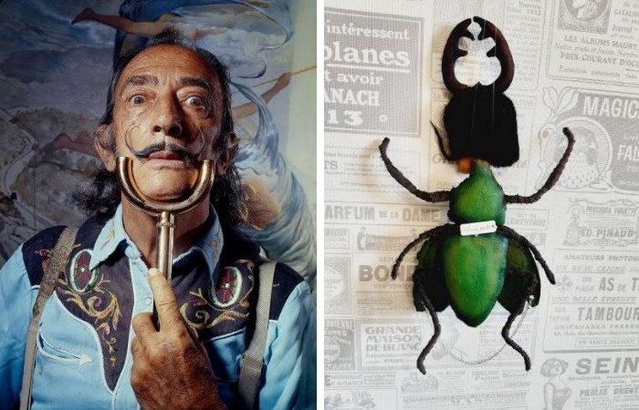 Сальвадор Дали и жук из его коллекции